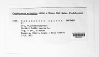 Image Associated With the Occurence